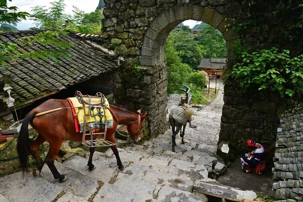 南岗千年瑶寨旅游攻略_三排瑶寨旅游攻略_清远南岗千年瑶寨
