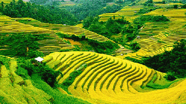 三排瑶寨旅游攻略_清远南岗千年瑶寨_南岗千年瑶寨旅游攻略