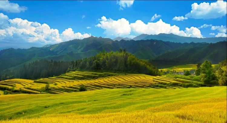 三排瑶寨旅游攻略_清远南岗千年瑶寨_南岗千年瑶寨旅游攻略