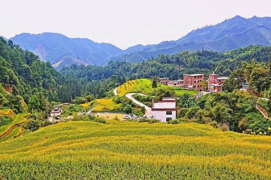 清远南岗千年瑶寨_三排瑶寨旅游攻略_南岗千年瑶寨旅游攻略