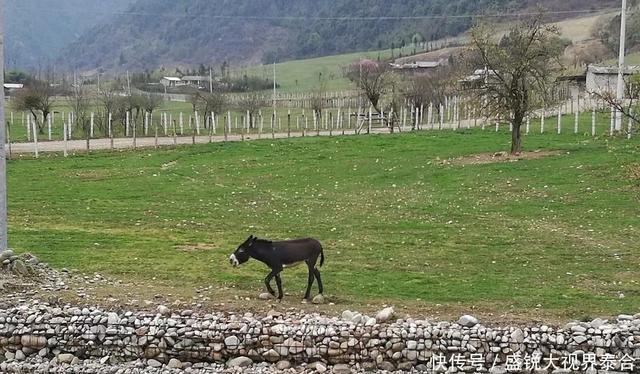 去腾冲旅游攻略_攻略腾冲旅游图片欣赏_腾冲旅游攻略图片