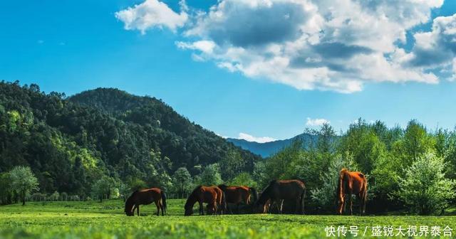 腾冲旅游攻略图片_攻略腾冲旅游图片欣赏_去腾冲旅游攻略