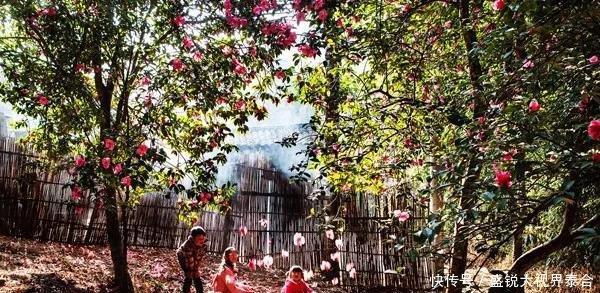 去腾冲旅游攻略_攻略腾冲旅游图片欣赏_腾冲旅游攻略图片