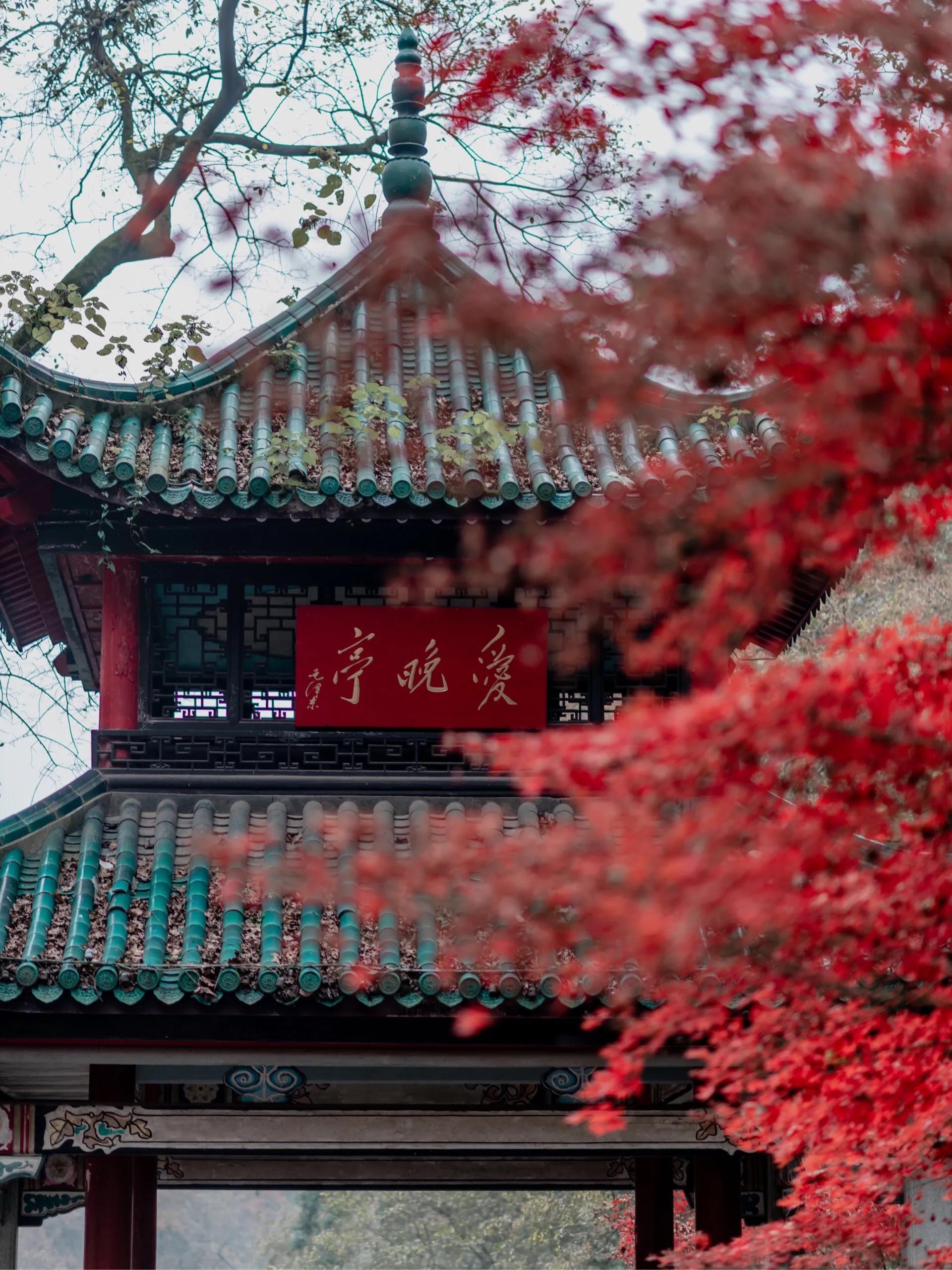 长沙岳麓山门票价格_长沙岳麓山旅游攻略_长沙岳麓山景点简介