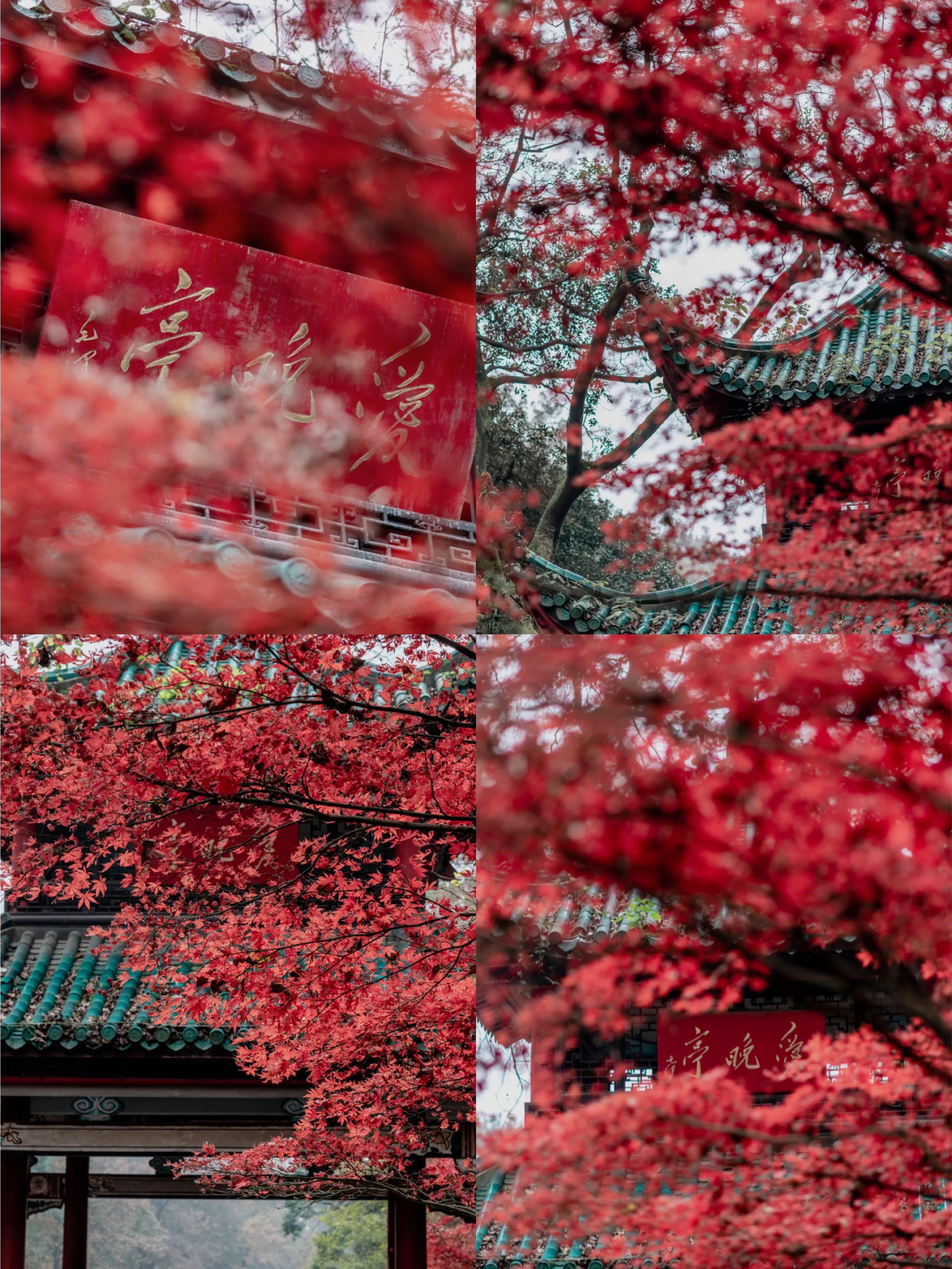 长沙岳麓山旅游攻略_长沙岳麓山门票价格_长沙岳麓山景点简介