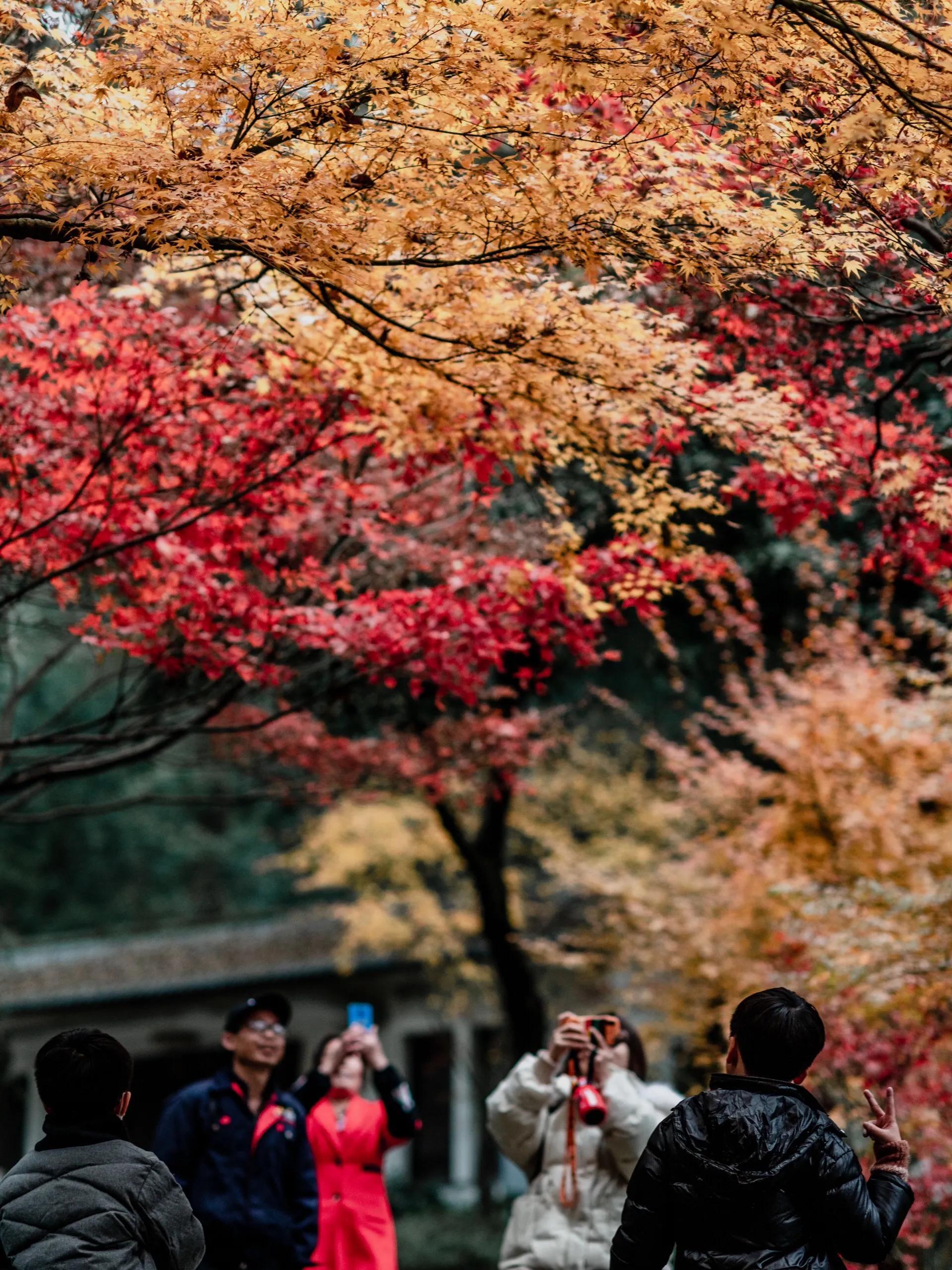 长沙岳麓山门票价格_长沙岳麓山景点简介_长沙岳麓山旅游攻略