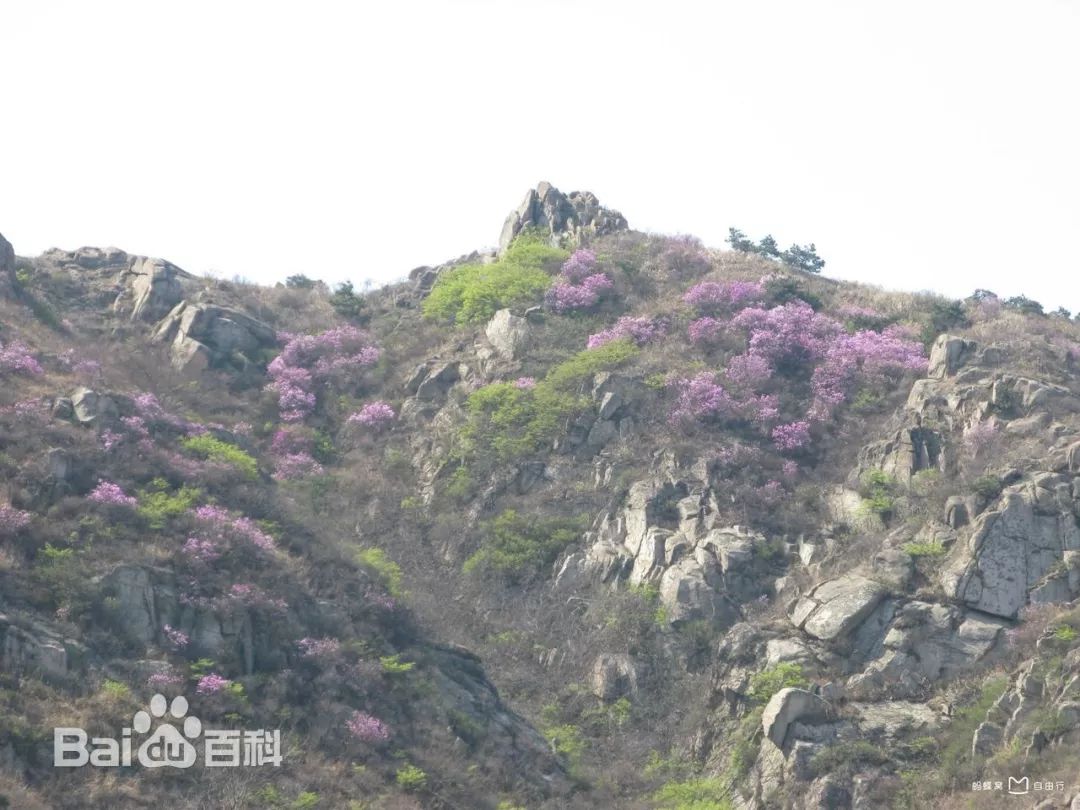 黄岛旅游攻略_黄岛旅游路线_攻略旅游黄岛路线