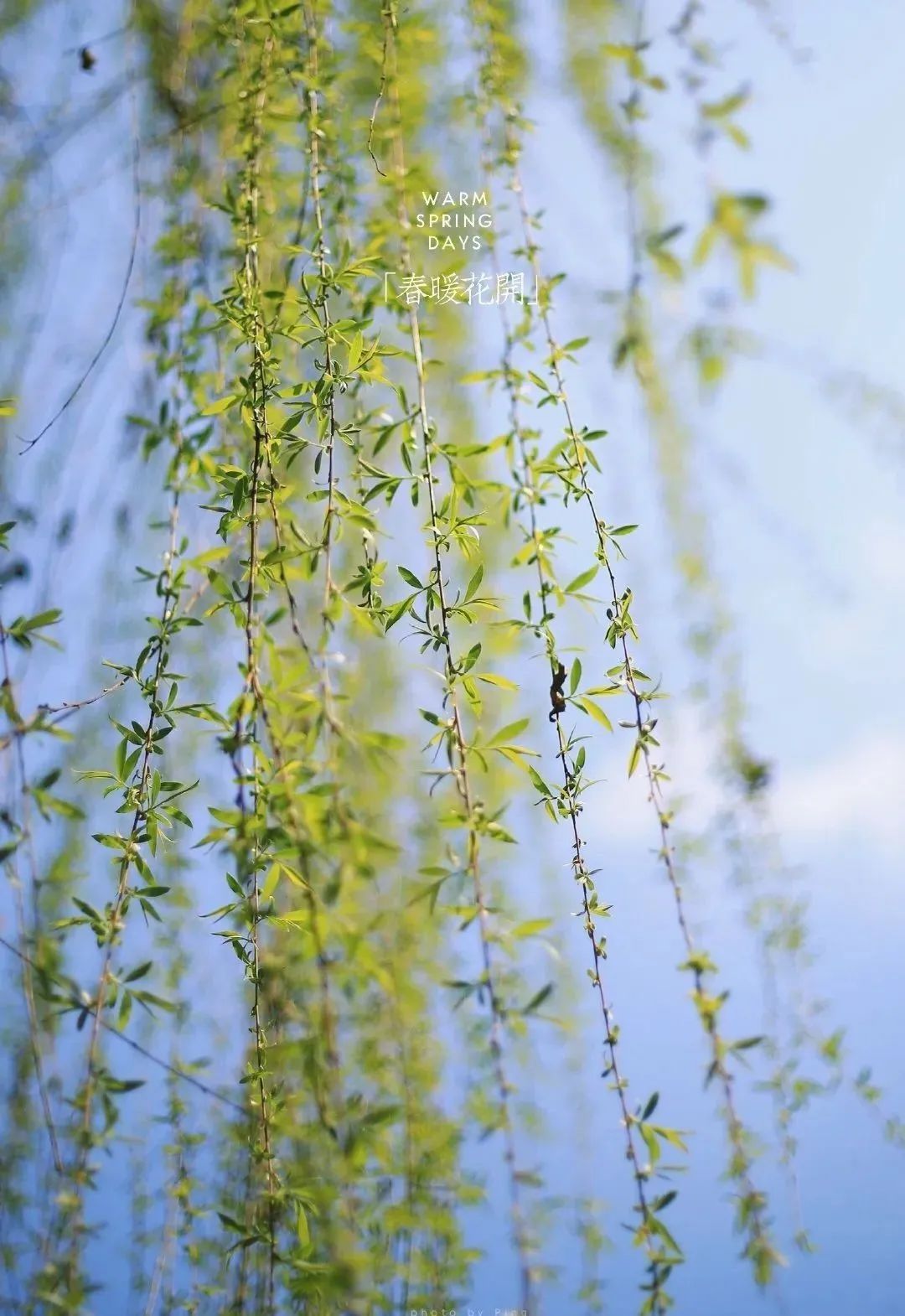 古镇攻略旅游安仁路线_安仁古镇游记_安仁古镇旅游攻略