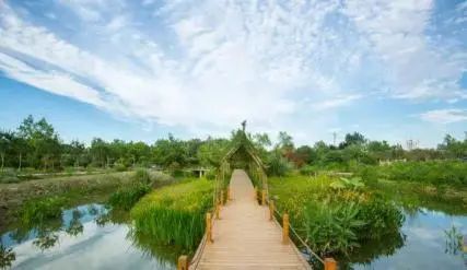 古镇攻略旅游安仁路线_安仁古镇旅游攻略_安仁古镇游记