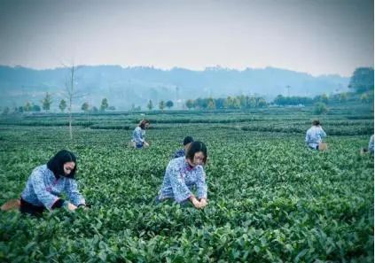 古镇攻略旅游安仁路线_安仁古镇游记_安仁古镇旅游攻略