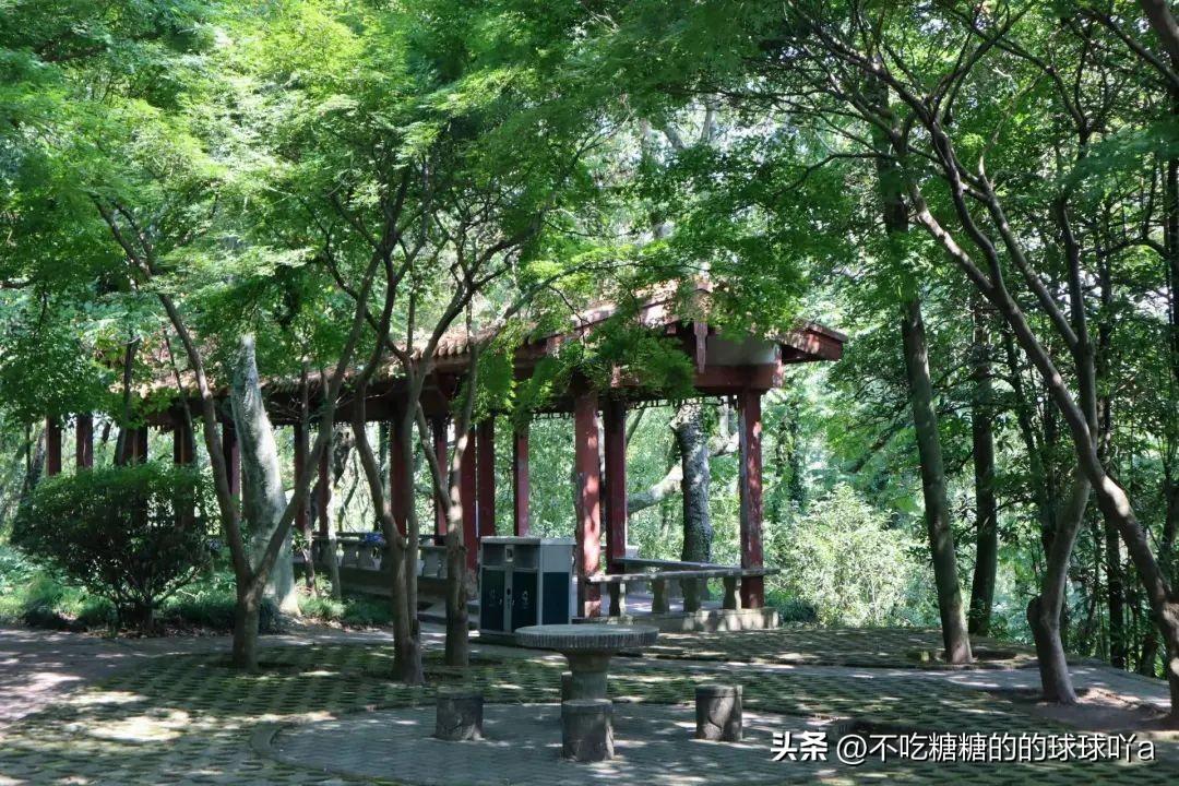 大陈岛椒江_椒江大陈岛旅游攻略_浙江台州椒江大陈岛旅游