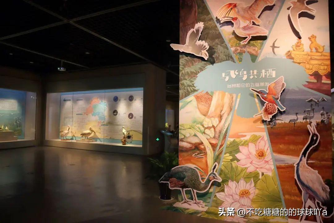 浙江台州椒江大陈岛旅游_椒江大陈岛旅游攻略_大陈岛椒江