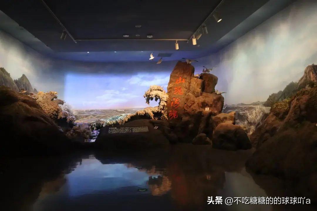 浙江台州椒江大陈岛旅游_大陈岛椒江_椒江大陈岛旅游攻略