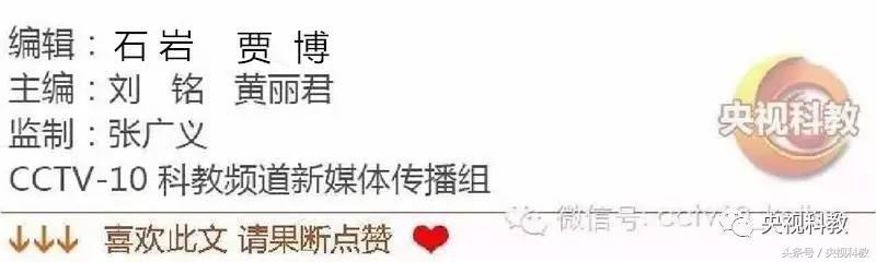 印度时尚时装周模特秀_时尚印度_印度电影 时尚