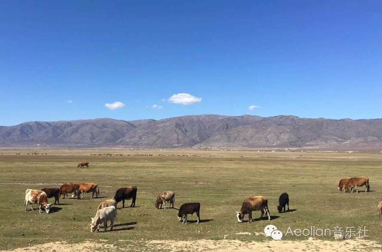 喀纳斯湖旅游攻略-喀纳斯湖游玩(图4) 喀纳斯湖旅游攻略_喀纳斯游湖大概多长时间_喀纳斯湖游玩