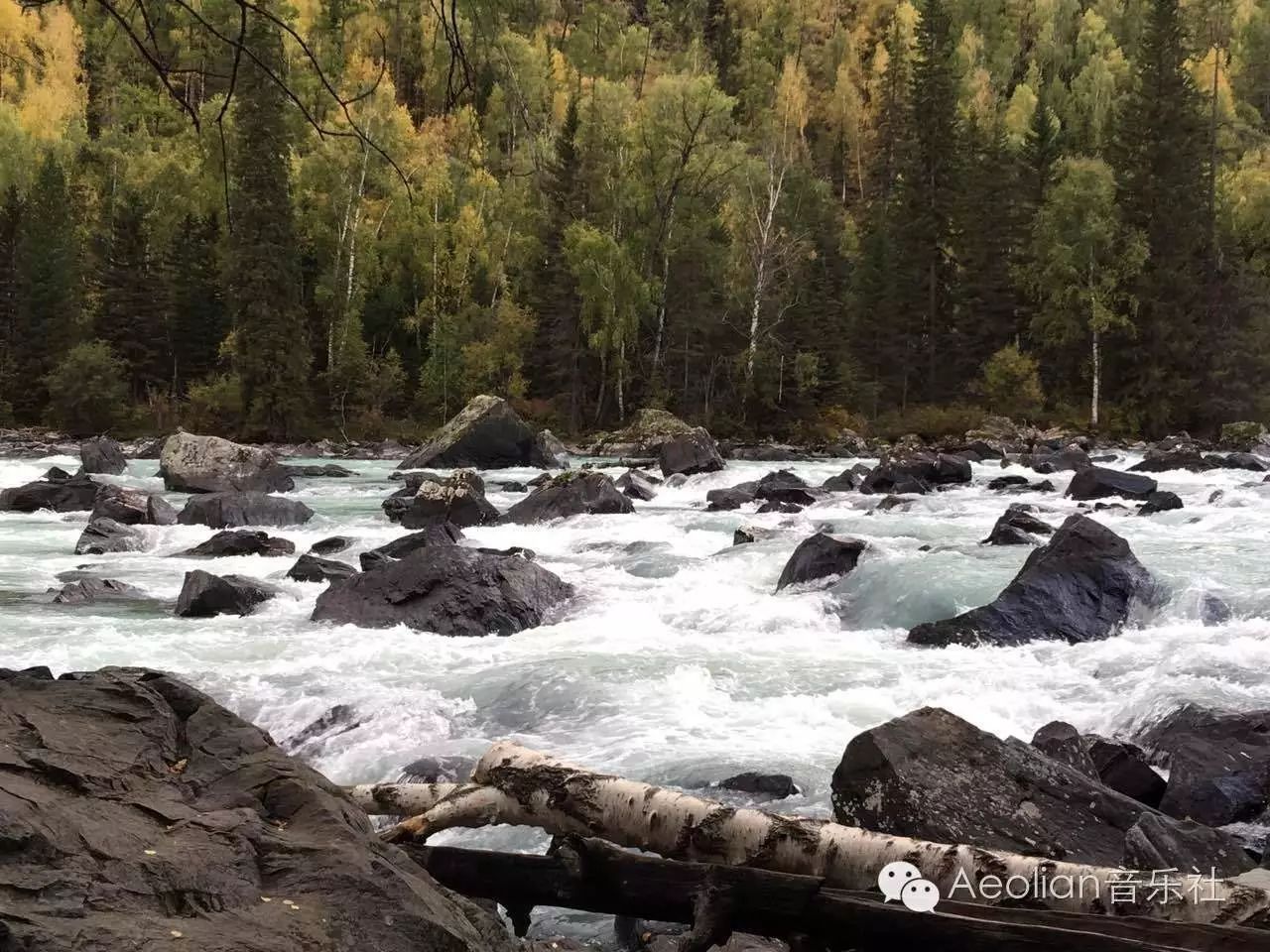 喀纳斯湖旅游攻略-喀纳斯湖游玩(图5) 喀纳斯游湖大概多长时间_喀纳斯湖旅游攻略_喀纳斯湖游玩