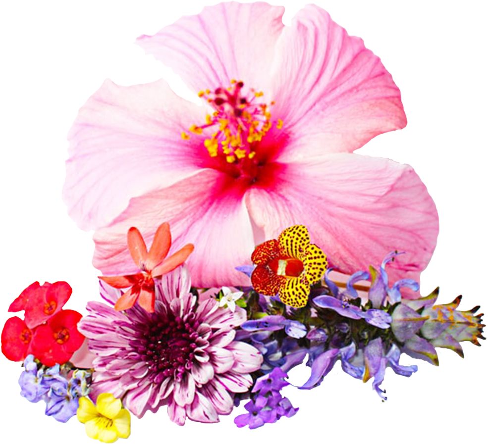 合肥到天柱山旅游攻略-合肥出发天柱山一日游