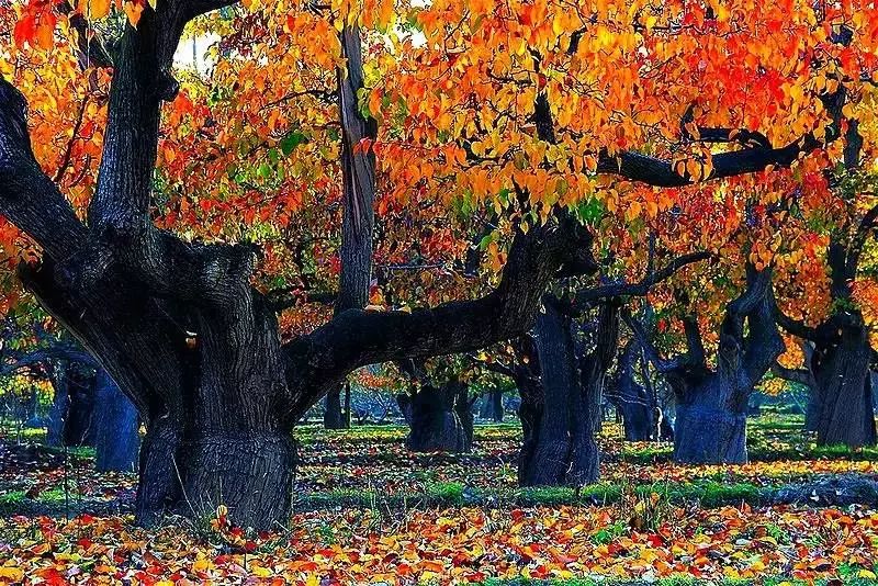甘肃酒泉旅游攻略_甘肃酒泉旅游必去十大景点_甘肃酒泉一日游