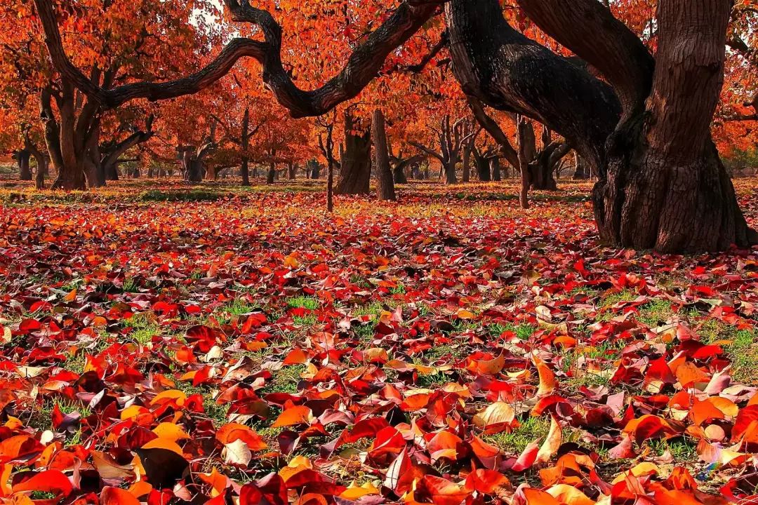 甘肃酒泉一日游_甘肃酒泉旅游攻略_甘肃酒泉旅游必去十大景点