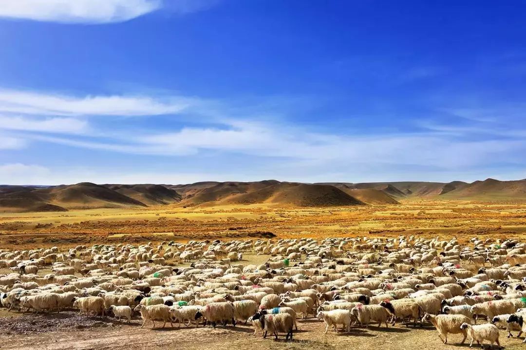 甘肃酒泉旅游必去十大景点_甘肃酒泉旅游攻略_甘肃酒泉一日游