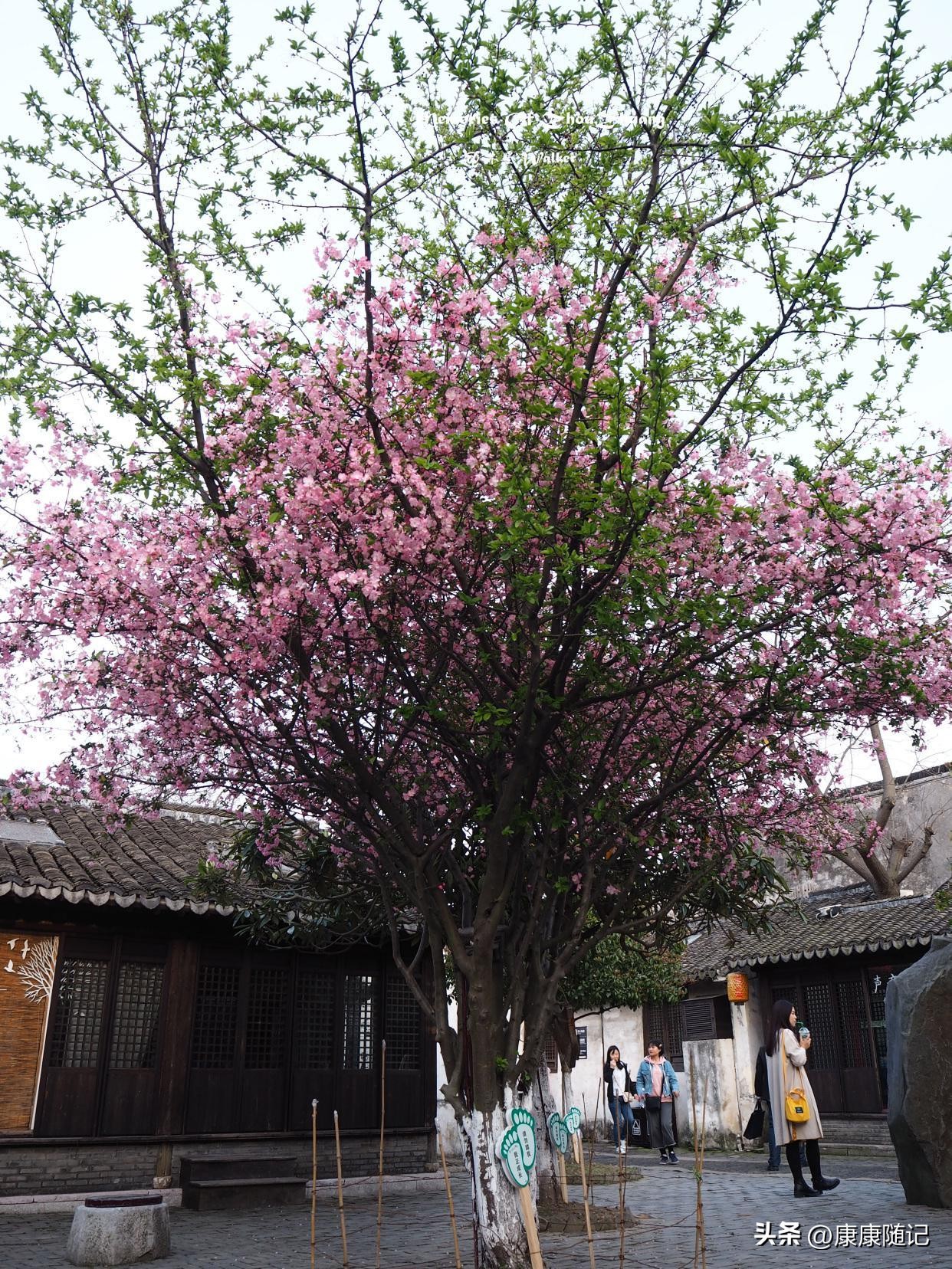 西塘乌镇周庄_周庄乌镇西塘旅游攻略_周庄乌镇