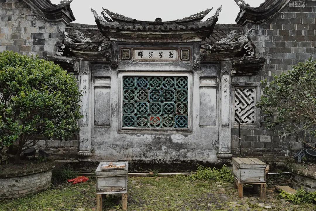 龙岩的山_龙岩山国家森林公园_龙岩冠豸山旅游攻略