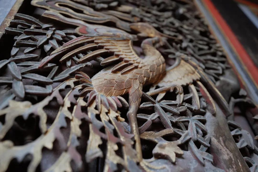 龙岩的山_龙岩山国家森林公园_龙岩冠豸山旅游攻略