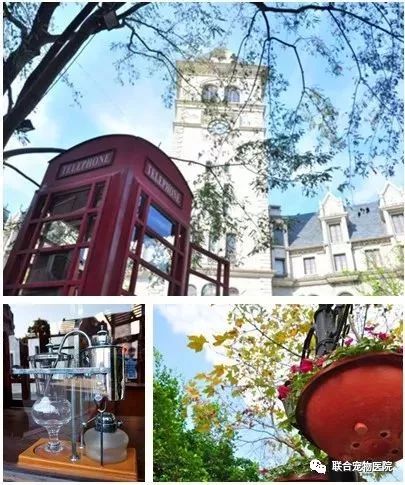 花都小镇_花都欧洲小镇旅游攻略_花都小镇一日游