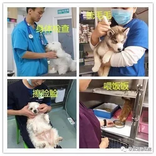 花都欧洲小镇旅游攻略_花都小镇_花都小镇一日游