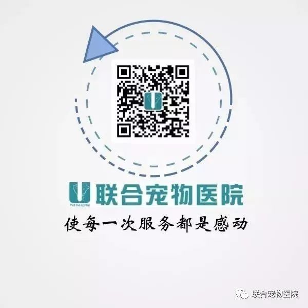 花都欧洲小镇旅游攻略_花都小镇_花都小镇一日游