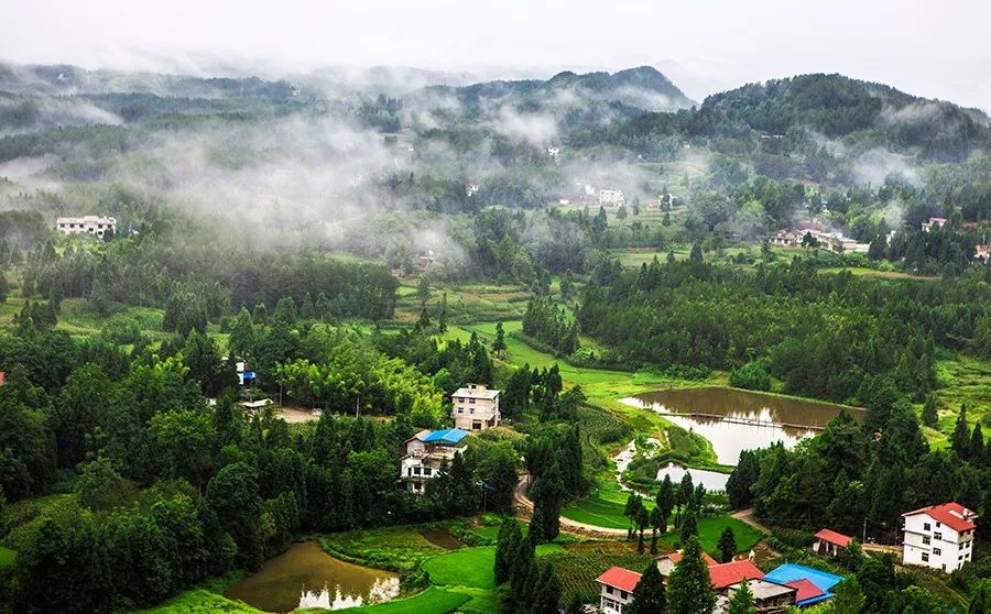 九宫山山上住宿哪家好_九宫山旅游攻略住宿_九宫山住宿价格是多少