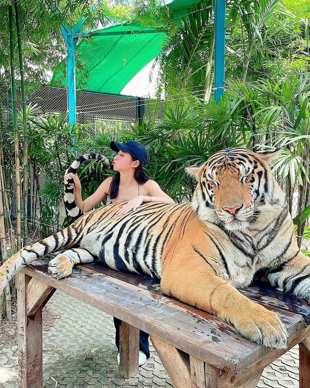 普吉岛旅游攻略 自由行篇-普吉岛旅行团报价(图20) 普吉岛自助旅游_普吉岛旅游攻略 自由行篇_普吉岛旅行团报价