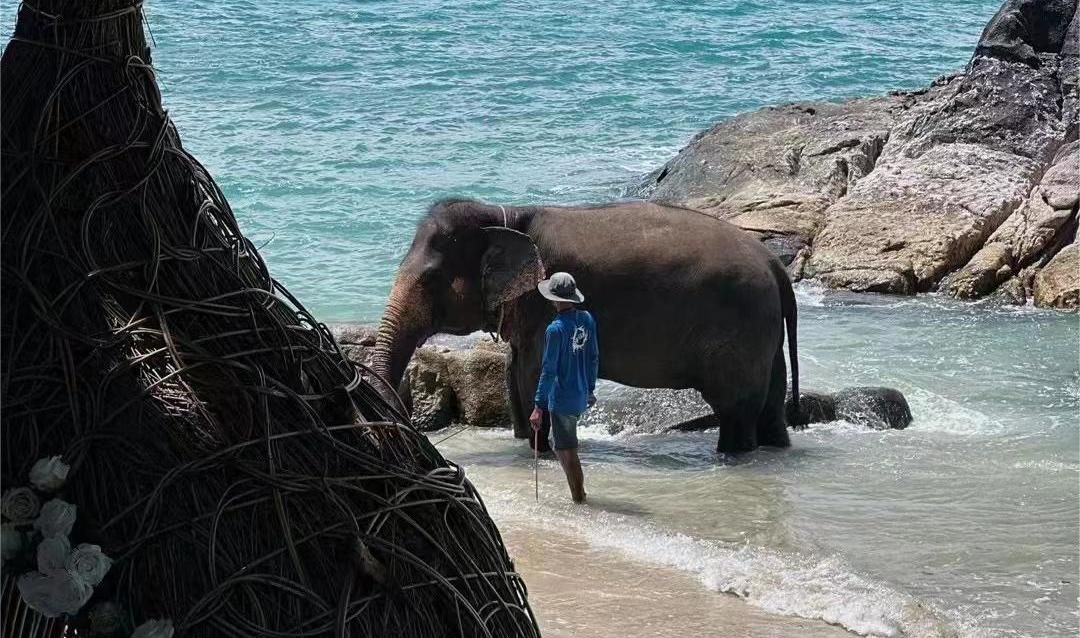 普吉岛旅游攻略 自由行篇-普吉岛旅行团报价(图9) 普吉岛旅游攻略 自由行篇_普吉岛自助旅游_普吉岛旅行团报价