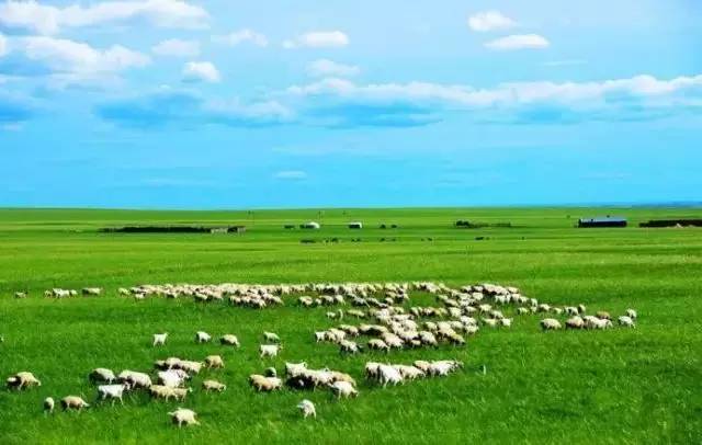 呼伦贝尔旅游攻略相关推荐-呼伦贝尔旅游景点攻略(图14) 呼伦贝尔旅游攻略线路_呼伦贝尔旅游景点攻略_呼伦贝尔旅游攻略相关推荐