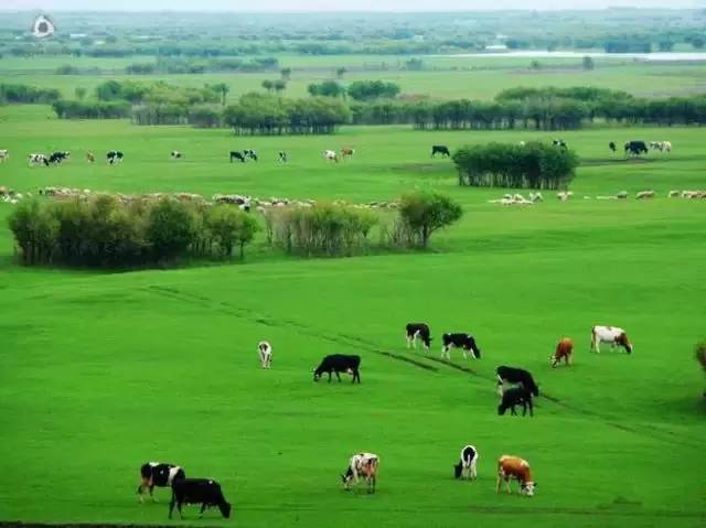 呼伦贝尔旅游攻略相关推荐-呼伦贝尔旅游景点攻略(图2) 呼伦贝尔旅游景点攻略_呼伦贝尔旅游攻略线路_呼伦贝尔旅游攻略相关推荐