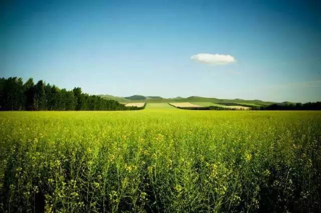 呼伦贝尔旅游攻略相关推荐-呼伦贝尔旅游景点攻略(图22) 呼伦贝尔旅游景点攻略_呼伦贝尔旅游攻略线路_呼伦贝尔旅游攻略相关推荐