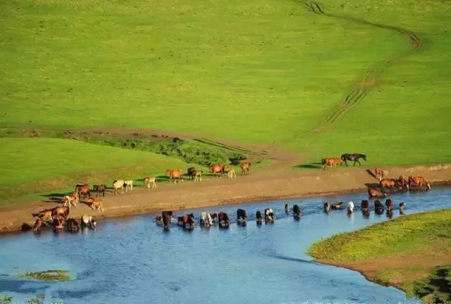 呼伦贝尔旅游攻略相关推荐-呼伦贝尔旅游景点攻略(图24) 呼伦贝尔旅游攻略相关推荐_呼伦贝尔旅游攻略线路_呼伦贝尔旅游景点攻略