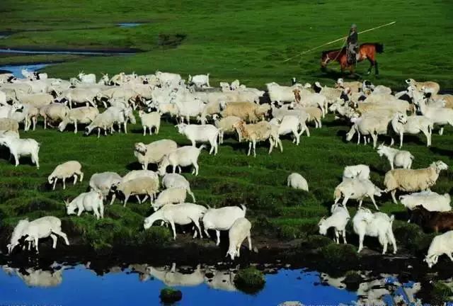 呼伦贝尔旅游攻略相关推荐-呼伦贝尔旅游景点攻略(图26) 呼伦贝尔旅游景点攻略_呼伦贝尔旅游攻略相关推荐_呼伦贝尔旅游攻略线路