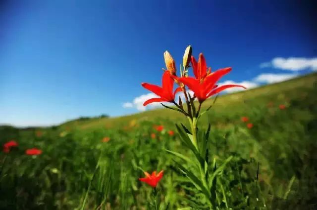 呼伦贝尔旅游攻略相关推荐-呼伦贝尔旅游景点攻略(图27) 呼伦贝尔旅游攻略线路_呼伦贝尔旅游攻略相关推荐_呼伦贝尔旅游景点攻略