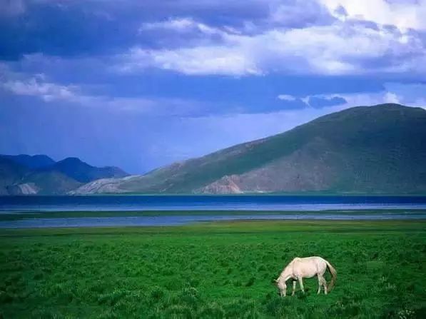 呼伦贝尔旅游攻略相关推荐-呼伦贝尔旅游景点攻略(图33) 呼伦贝尔旅游景点攻略_呼伦贝尔旅游攻略线路_呼伦贝尔旅游攻略相关推荐