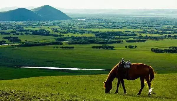 呼伦贝尔旅游攻略相关推荐-呼伦贝尔旅游景点攻略(图34) 呼伦贝尔旅游攻略相关推荐_呼伦贝尔旅游景点攻略_呼伦贝尔旅游攻略线路