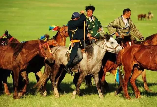 呼伦贝尔旅游攻略相关推荐-呼伦贝尔旅游景点攻略(图38) 呼伦贝尔旅游攻略线路_呼伦贝尔旅游攻略相关推荐_呼伦贝尔旅游景点攻略