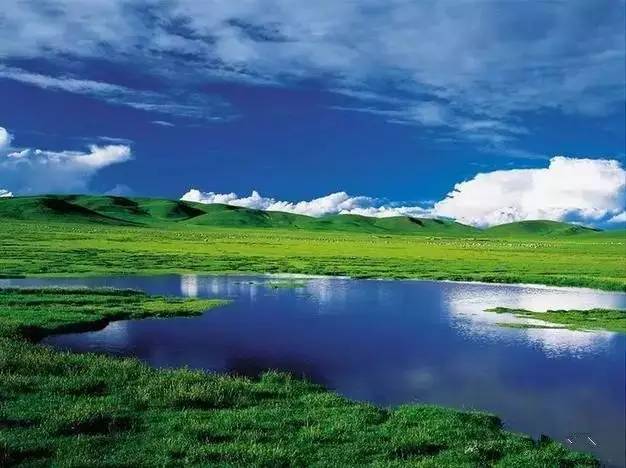 呼伦贝尔旅游攻略相关推荐-呼伦贝尔旅游景点攻略(图4) 呼伦贝尔旅游攻略相关推荐_呼伦贝尔旅游攻略线路_呼伦贝尔旅游景点攻略