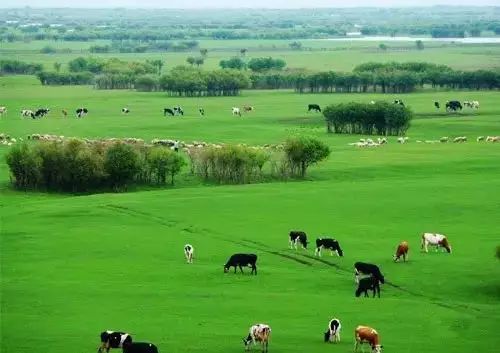 呼伦贝尔旅游攻略相关推荐-呼伦贝尔旅游景点攻略(图6) 呼伦贝尔旅游景点攻略_呼伦贝尔旅游攻略线路_呼伦贝尔旅游攻略相关推荐