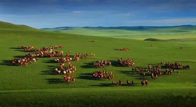 呼伦贝尔旅游攻略相关推荐-呼伦贝尔旅游景点攻略(图8) 呼伦贝尔旅游攻略线路_呼伦贝尔旅游景点攻略_呼伦贝尔旅游攻略相关推荐