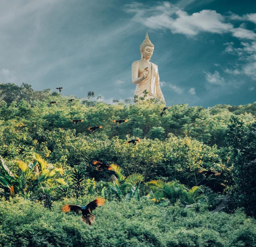 成都到西双版纳旅游攻略-西双版纳到成都自驾游攻略(图2) 西双版纳到成都自驾_西双版纳到成都自驾游攻略_成都到西双版纳旅游攻略