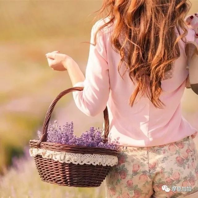 时尚王妃小说-王妃小说全文免费阅读(图30) 王妃小说完结_王妃小说全文免费阅读_时尚王妃小说