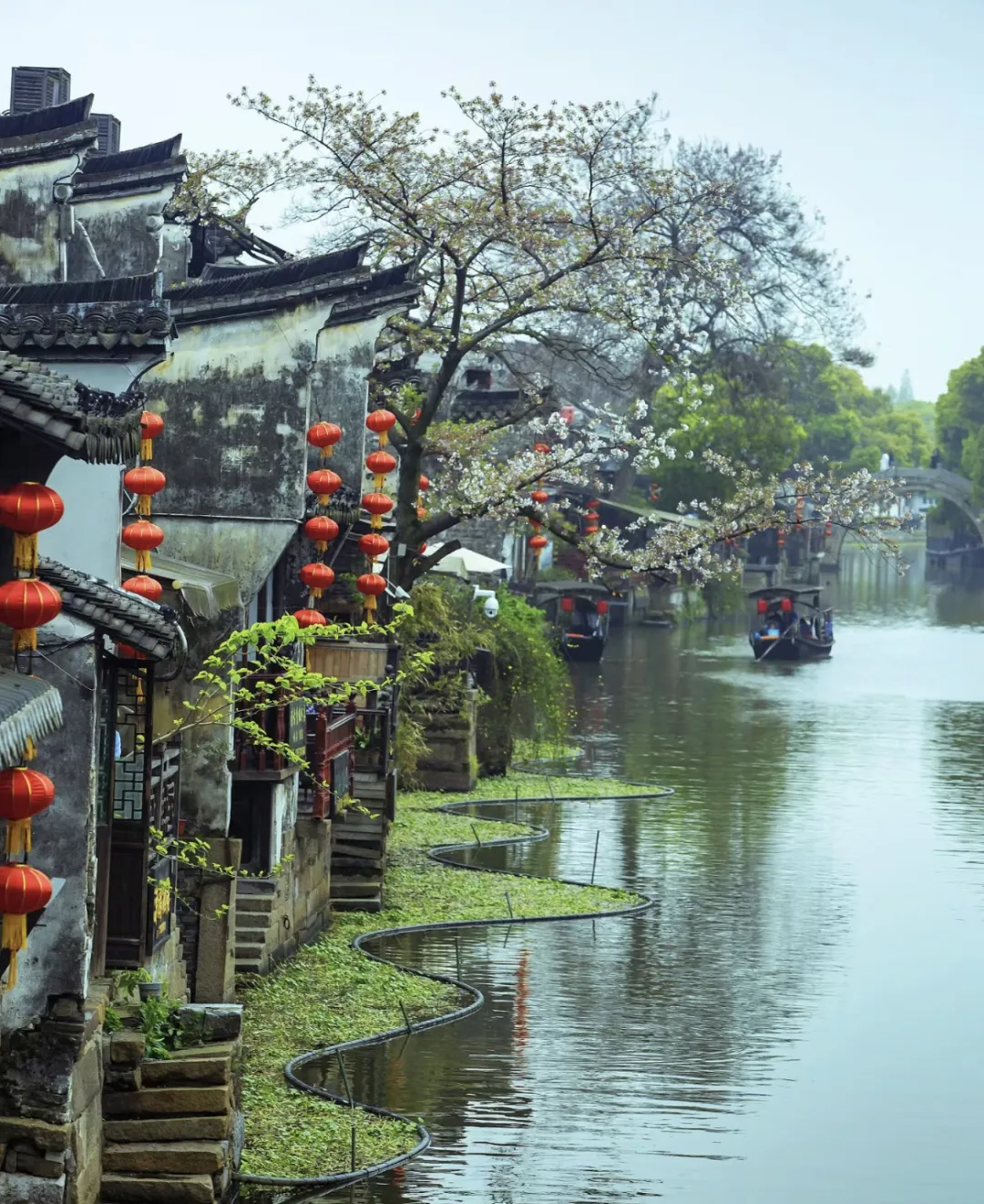 杭州西湖乌镇旅游攻略-杭州西湖乌镇三日游最佳攻略(图8) 杭州西湖乌镇苏州怎么规划路线_杭州西湖乌镇旅游攻略_杭州西湖乌镇三日游最佳攻略