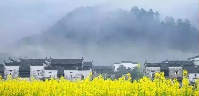婺源西线最值得去的三个景点_婺源西线一日游攻略_婺源西线旅游攻略