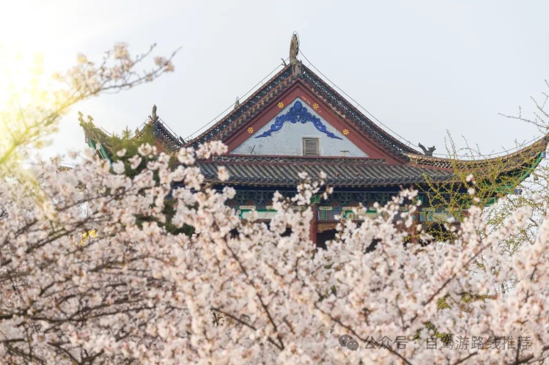 武汉旅游攻略三日游_武汉3日游攻略_三日攻略武汉旅游游玩